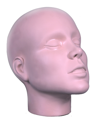 Mehron Makeup Practice Head |Makeup Practice Face| Mannequin Head for  Makeup Practice, Special FX, & Face Painting for Students