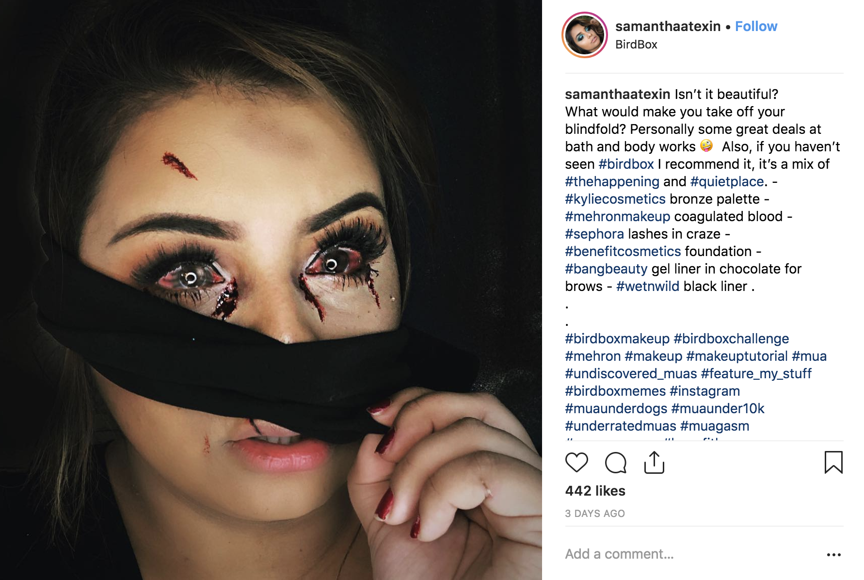 afvisning maskulinitet Ofre Bird Box Inspired Makeup Looks Filling Our Instagram Feed - Mehron, Inc.